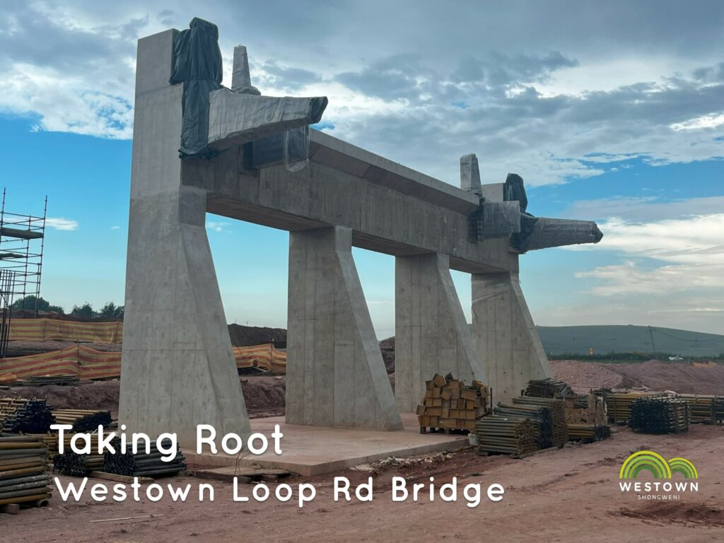 First Vertical Support